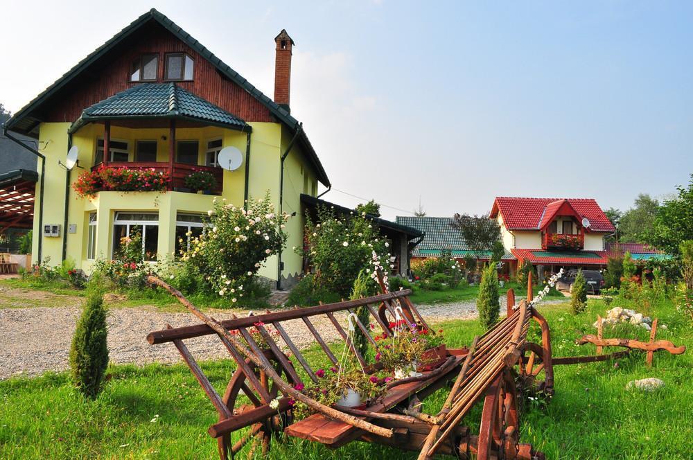 Pensiunea Cotiso Costeşti Exteriör bild